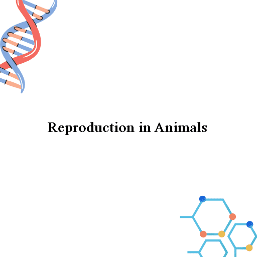 Reproduction in Animals